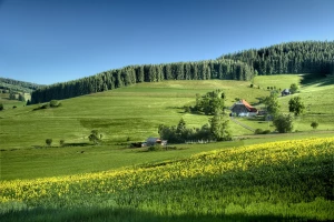 Zęby ważna rzecz, gdzie je leczyć?